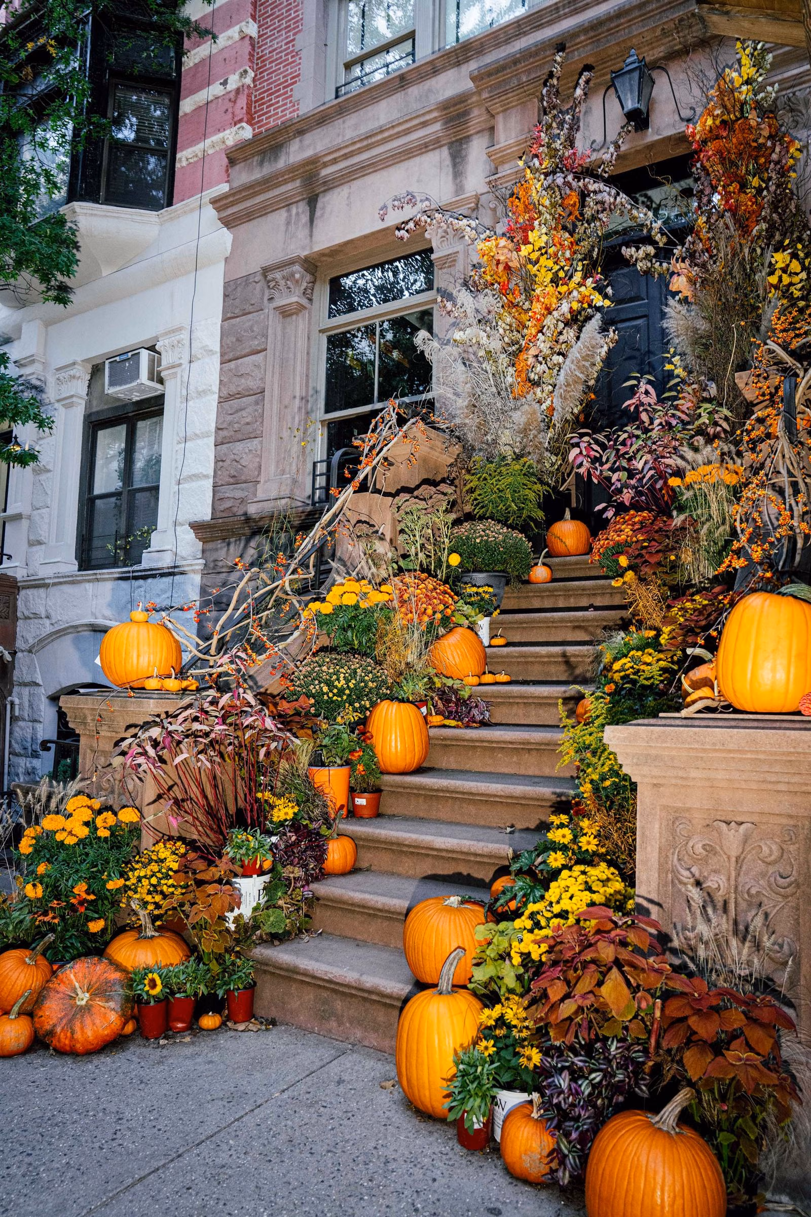 An autumn entrance garden layered with orange and yellow flowers, branches and pumpkins