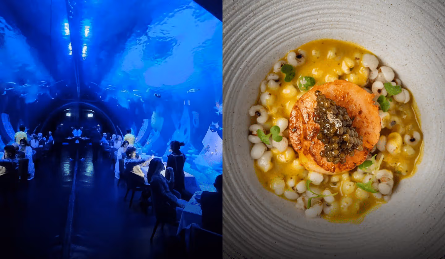 โชว์นางเงือก เต็นท์สไตล์โมกุล บ้านเก่าร้อยปี: 6 ร้านอาหารในภูเก็ตที่ทำ "ฉาก" ให้กลายเป็นเมนูหลัก